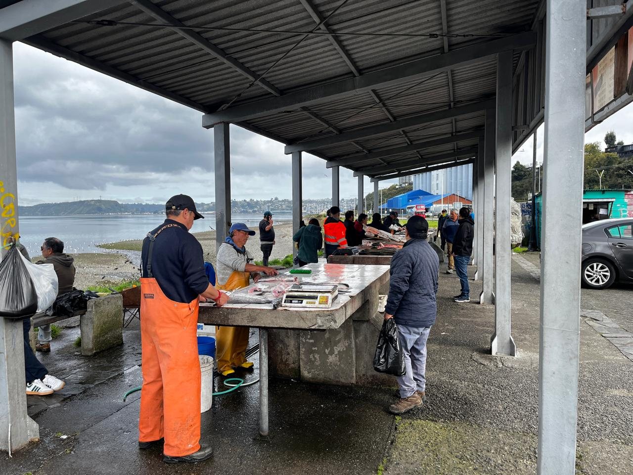 Mercado de pesca fresca vinculado al proyecto de fortalecimiento organizacional.